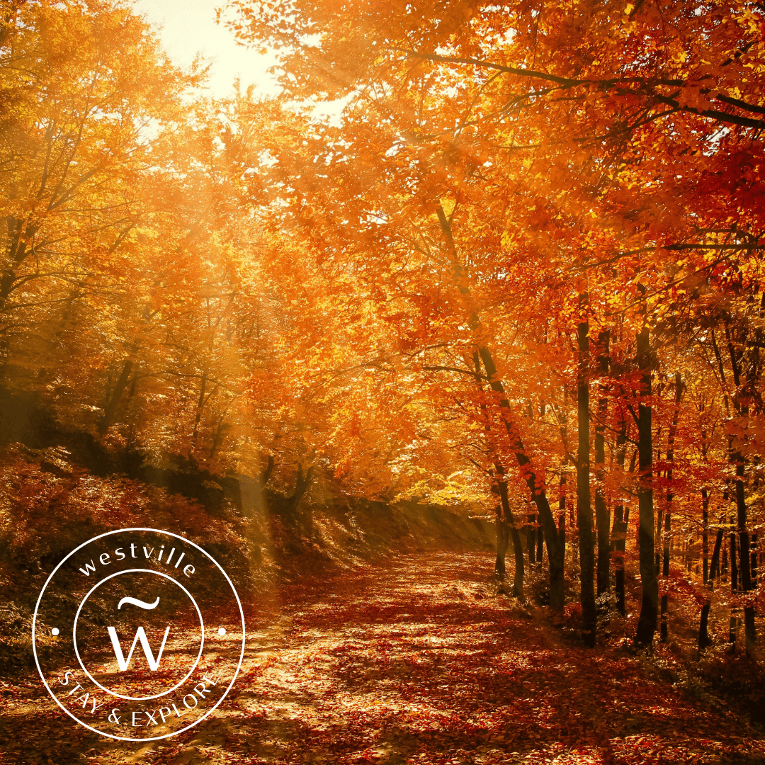 Autumn breaks at The Westville Hotel autumn hotel deals enniskillen