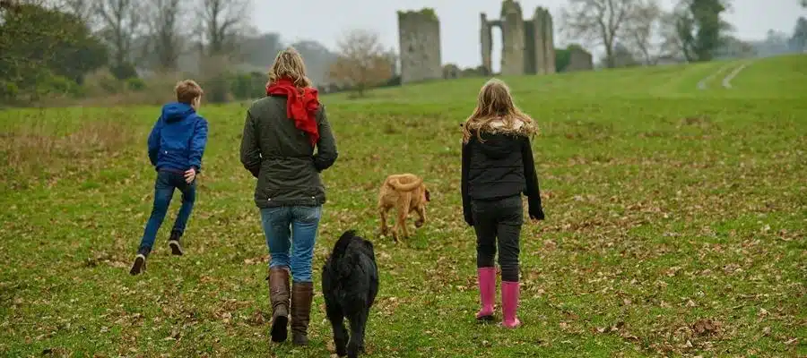 Per friendly walks in Enniskillen Family walking dogs in Fermanagh