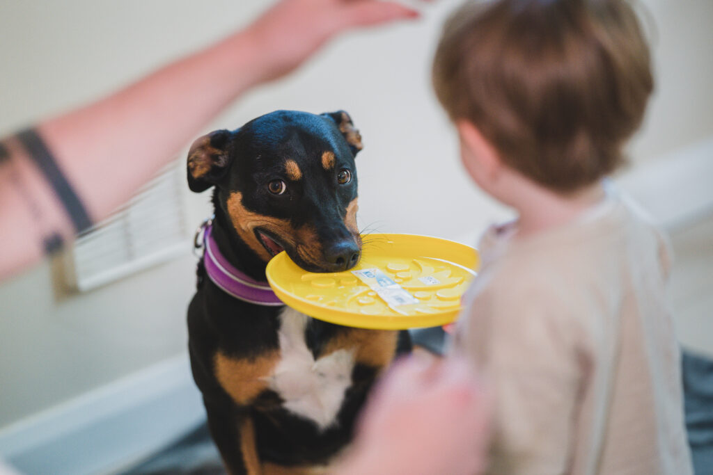 family staycation with furry friends at Watersedge Apartments Self-catering accommodation Enniskillen Fermanagh