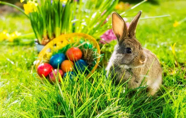 Easter dining at The Westville Hotel, Enniskillen