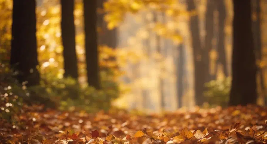 scenic places to visit in fermanagh autumn
