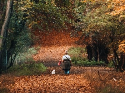 Why Enniskillen is Perfect for an Autumn Staycation autumn in fermanagh