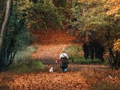 Why Enniskillen is Perfect for an Autumn Staycation autumn in fermanagh